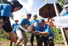 Hari Gerakan Satu Juta Pohon Sedunia, Pertamina Lestarikan Lebih dari 6 Juta Pohon dalam Program Hutan Pertamina PERTAMINA