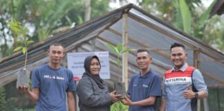 Bagian Dari Perhutanan Sosial, Hutan Pertamina Tanam Lebih Dari Enam Juta Pohon Enam Juta Pohon