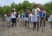 Dukung Upaya Mitigasi Perubahan Iklim, Pertamina Rehabilitasi Mangrove di Nusa Tenggara Timur di Nusa Tenggara Timur
