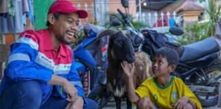 Berbagi di Hari Raya Iduladha, Pertamina Salurkan 4.493 Hewan Kurban Hewan Kurban