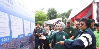 Dukung Festival Ciliwung, Gerbang Biru Ciliwung Pertamina Untuk Kembangkan Ekosistem Sungai Kembangkan Ekosistem Sungai
