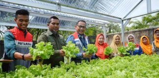 Pertamina Grup Manfaatkan Energi Hijau untuk Komunitas Hidroponik Sehati Kota Dumai Hidroponik Sehati Kota Dumai