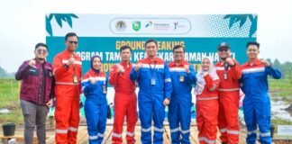 Pertama di Indonesia, Pemprov Sumsel dan Kilang Pertamina Plaju Sinergi Bangun Taman Rawa di Kawasan Jakabaring, Tanam 55 Spesies Pohon Langka di Kawasan Jakabaring