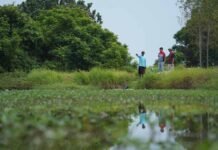 Bertambah Lagi, Desa Energi Berdikari Hadir di Indramayu Wujudkan Ketahanan Pangan dan Energi PERTAMINA