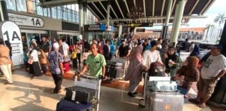 Harga Tiket Pesawat Tinggi! Apa Kata Bos Baru Garuda Indonesia? Harga Tiket Pesawat