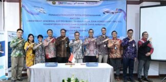 Kolaborasi Pelita Air Bersama Direktorat Jenderal EBTKE dan GIZ Jadikan Bandara Pondok Cabe sebagai Eco-Friendly Airport sebagai Eco-Friendly Airport
