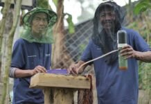 Pertamina Dukung 13 Kelompok Perhutanan Sosial untuk Penguatan Komoditas Pangan PERTAMINA