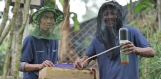 Pertamina Dukung 13 Kelompok Perhutanan Sosial untuk Penguatan Komoditas Pangan PERTAMINA