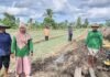 Kisah Petani di Merauke yang Produktivitasnya Semakin Meningkat Berkat Program Pemberdayaan Klaster Usaha dari BRI BRI