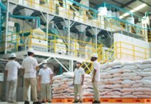 Dirut Bulog Era Erick Thohir, ini Daftarnya! Dirut Bulog