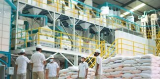 Dirut Bulog Era Erick Thohir, ini Daftarnya! Dirut Bulog