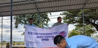 Jasa Raharja Watampone Gelar MUKL dan Pelatihan PPGD di Pelabuhan Bajoe jasa raharja sulsel