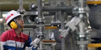Green Hydrogen Ulubelu Ciptakan Serapan Tenaga Kerja dan Investasi Energi Bersih Investasi Energi Bersih