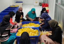 Dari Desa Siwarak, UMKM Binaan Pertamina Nanas-Qu Rangkul Ratusan Petani dan Menjaga Lingkungan, Lewat Pertapreneur Aggregator Pertapreneur Aggregator