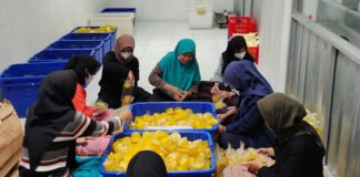 Dari Desa Siwarak, UMKM Binaan Pertamina Nanas-Qu Rangkul Ratusan Petani dan Menjaga Lingkungan, Lewat Pertapreneur Aggregator Pertapreneur Aggregator