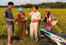 Anti Ribet! Jasa Raharja “Proaktif”, Ajak Petani Sadar Pajak Kendaraan dan Keselamatan Berkendara jasa raharja banten