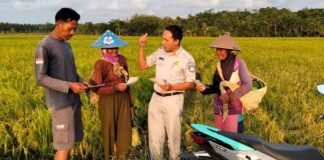 Anti Ribet! Jasa Raharja “Proaktif”, Ajak Petani Sadar Pajak Kendaraan dan Keselamatan Berkendara jasa raharja banten