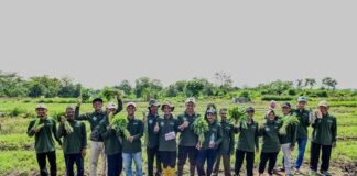 Inovasi di Tengah Kemarau, Pertamina Tanam Harapan Bersama Petani Desa Sobokerto Pertamina