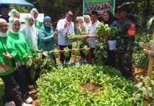 Dukung Ketahanan Pangan, Pertamina Patra Niaga Sulawesi Ajak Kelompok Wanita Tani Memanen Bersama Pertamina