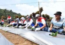 Lewat Tanggung Jawab Sosial Lingkungan, Pertamina Edukasi Keberlanjutan Energi Pertamina