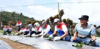Lewat Tanggung Jawab Sosial Lingkungan, Pertamina Edukasi Keberlanjutan Energi Pertamina