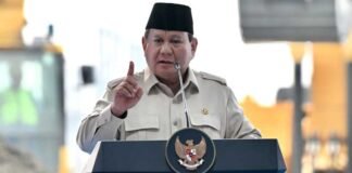 Target Setoran Danantara Rp800 Triliun, Presiden Prabowo Ingin ROA Minimal 5 Persen Target Setoran Danantara