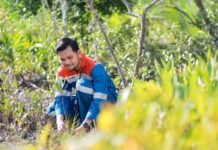 Hutan Lestari Pertamina: Menenun Harmoni Alam, Menuai Kesejahteraan Masyarakat Hutan Lestari