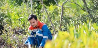 Hutan Lestari Pertamina: Menenun Harmoni Alam, Menuai Kesejahteraan Masyarakat Hutan Lestari