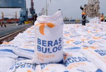 Pemerintah Percepat Program Swasembada Pangan untuk Stabilitas Nasional Swasembada Pangan