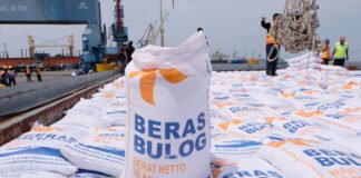 Pemerintah Percepat Program Swasembada Pangan untuk Stabilitas Nasional Swasembada Pangan