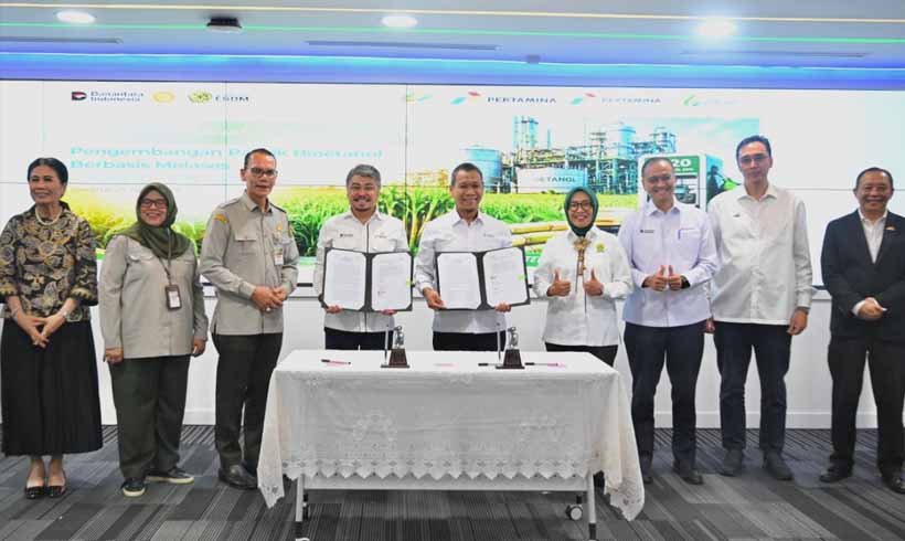 pengembangan bioetanol