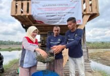 Dengan Energi Transisi, Pertamina Bangun Desa Rentan Jadi Resisten Energi