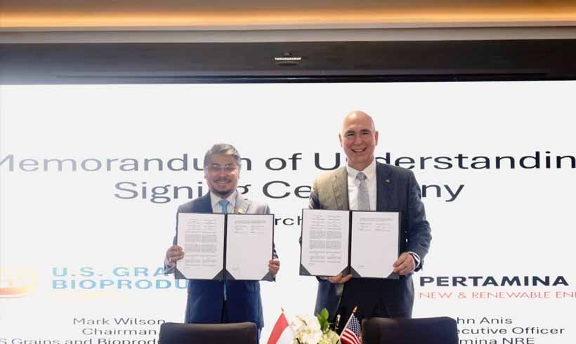 pengembangan bioetanol