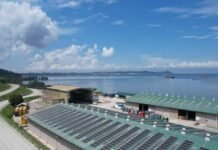 Rapor Hijau Pertamina: Dekarbonisasi dan Bisnis Rendah Karbon Makin Solid Program Dekarbonisasi Pertamina