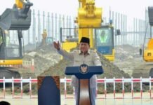 Efisiensi BUMN Era Prabowo: 328 Perusahaan Ditutup dan Negara Hemat Rp50 Triliun BUMN Ditutup