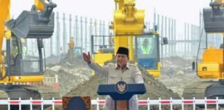 Efisiensi BUMN Era Prabowo: 328 Perusahaan Ditutup dan Negara Hemat Rp50 Triliun BUMN Ditutup