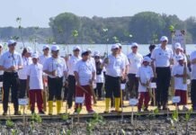 Jaga Pesisir Pantura, Pelindo Dukung Pemulihan Ekosistem Mangrove di Demak Pesisir Pantura