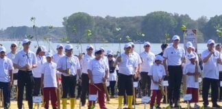 Jaga Pesisir Pantura, Pelindo Dukung Pemulihan Ekosistem Mangrove di Demak Pesisir Pantura